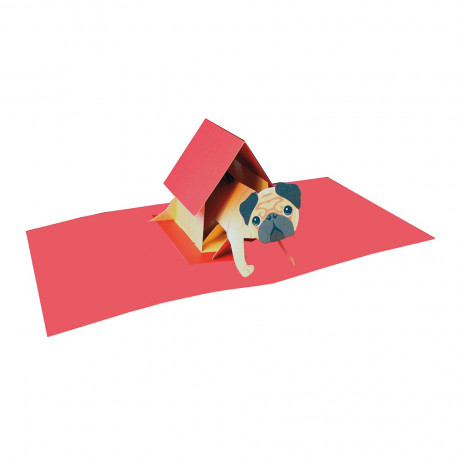 Pop-Upkort Pug